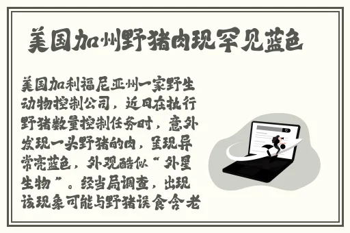 亚洲精品无码国产AV